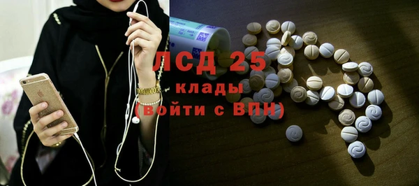 ГАЛЛЮЦИНОГЕННЫЕ ГРИБЫ Липки