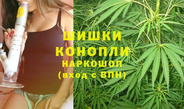 ГАЛЛЮЦИНОГЕННЫЕ ГРИБЫ Липки