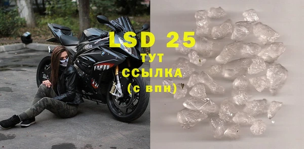ГАЛЛЮЦИНОГЕННЫЕ ГРИБЫ Липки
