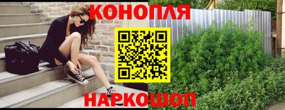 spice Коммунар