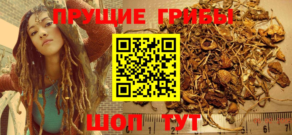 Ухта  Галлюциногенные грибы Cubensis  Вход с VPN 