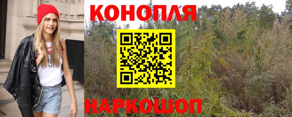 Бошки Шишки MAZAR Ухта